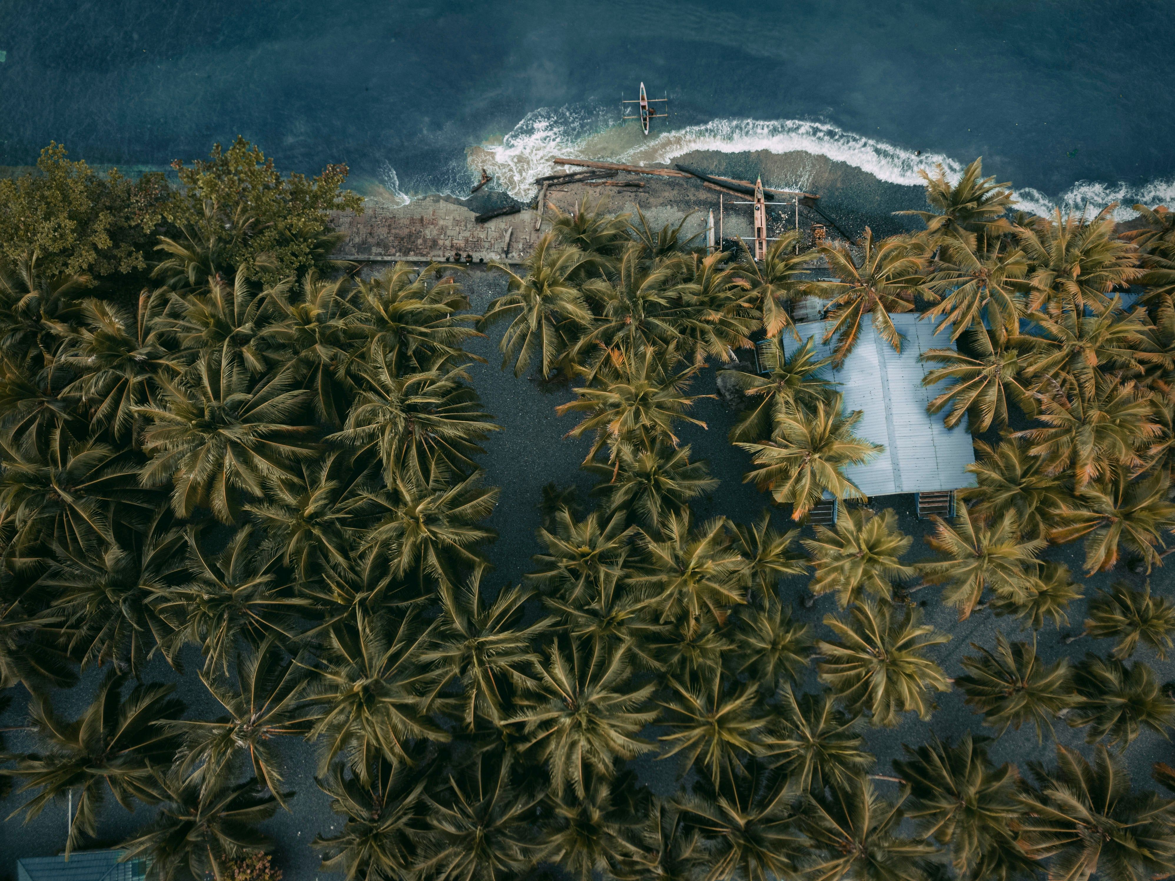 Папуа Нова Гвінея одна з найцікавіших та найнебезпечніших країн Папуа Нова Гвінея одна з найцікавіших та найнебезпечніших країн