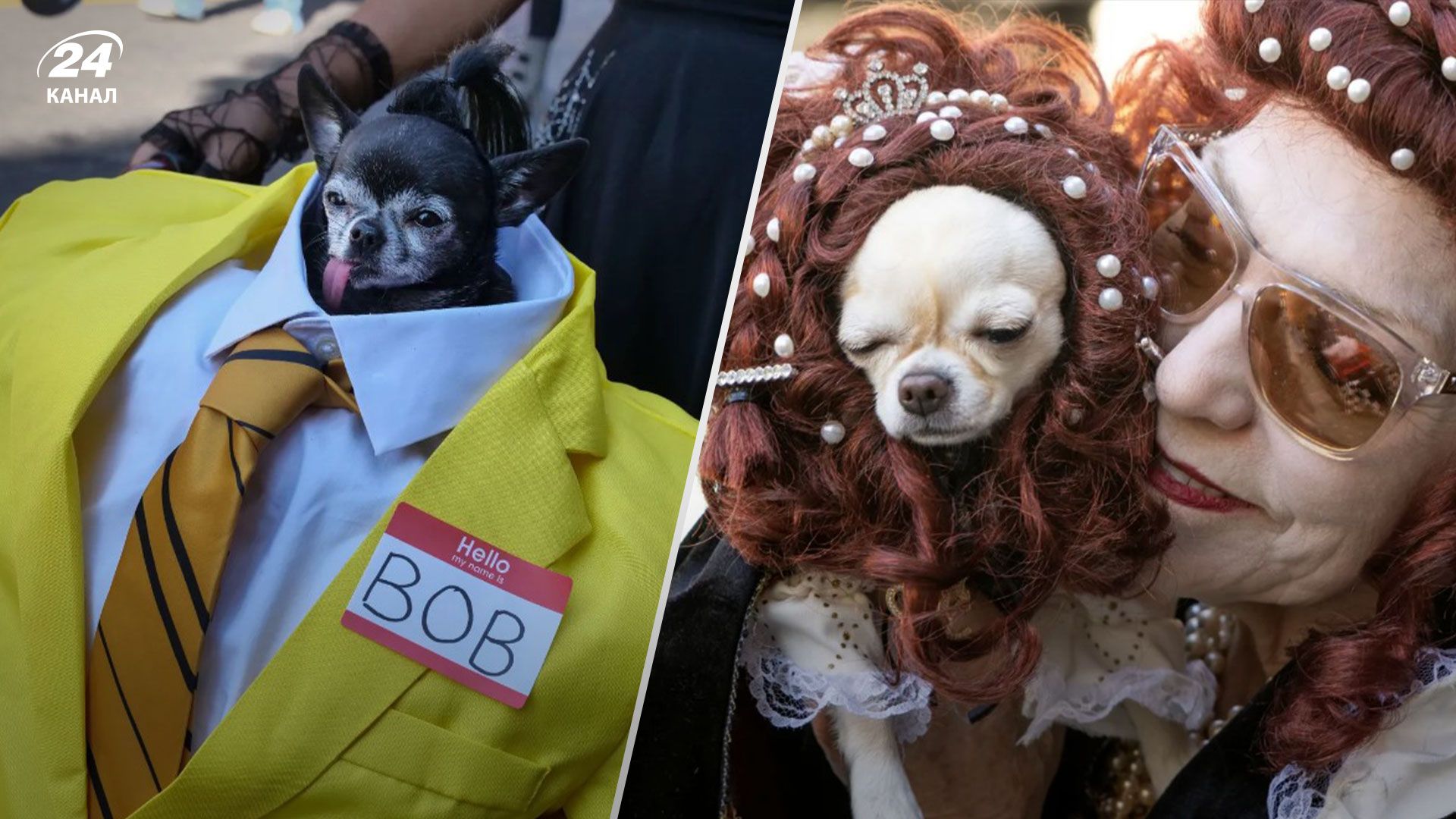 В Нью-Йорке прошел масштабный парад костюмированных собачек к Хэллоуину: милые фото - Заграница В Нью-Йорке прошел масштабный парад костюмированных собачек к Хэллоуину: милые фото - Заграница