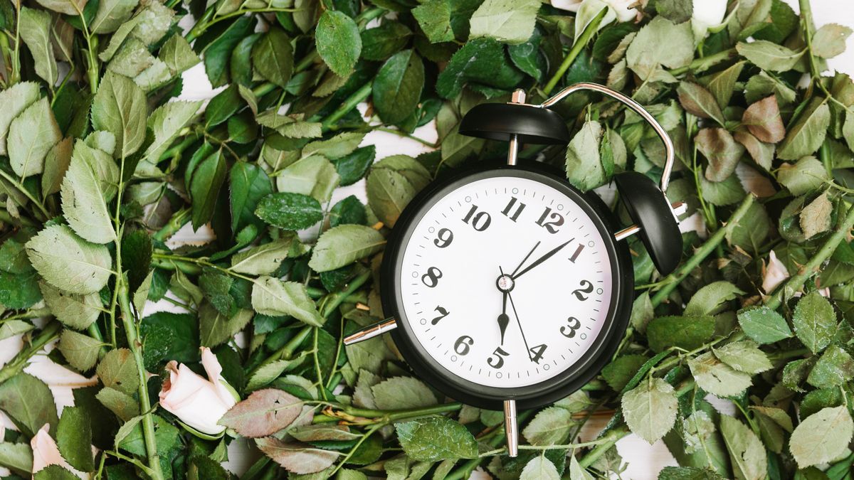 Як вручну перевести годинник на Android та iOS Як вручну перевести годинник на Android та iOS