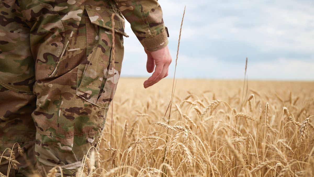 Пауза в экономичном бронировании Пауза в экономичном бронировании