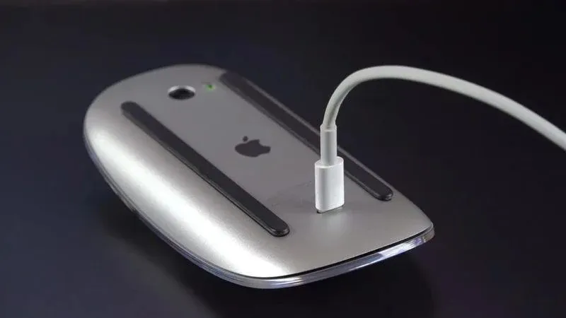 Magic Mouse