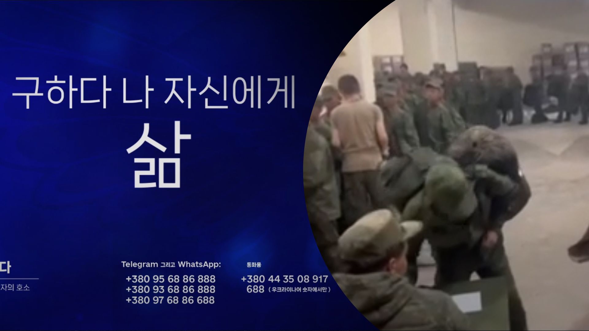 Проект "Хочу жить" обратился к солдатам КНДР Проект "Хочу жить" обратился к солдатам КНДР