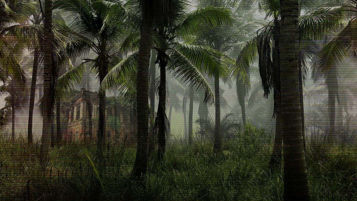 Археологи раскапывают 250-летний затерянный город в бразильском тропическом лесу Археологи раскапывают 250-летний затерянный город в бразильском тропическом лесу