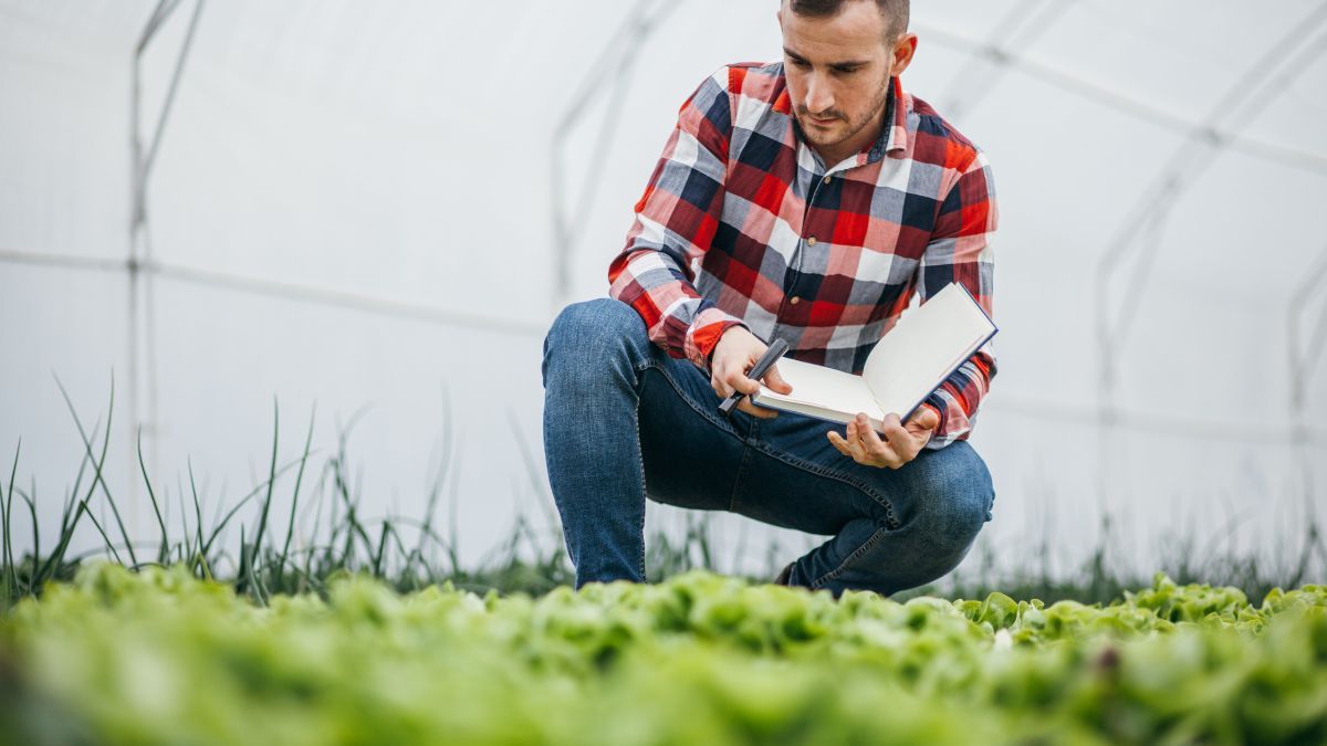 Зарплата агронома в Україні Зарплата агронома в Україні