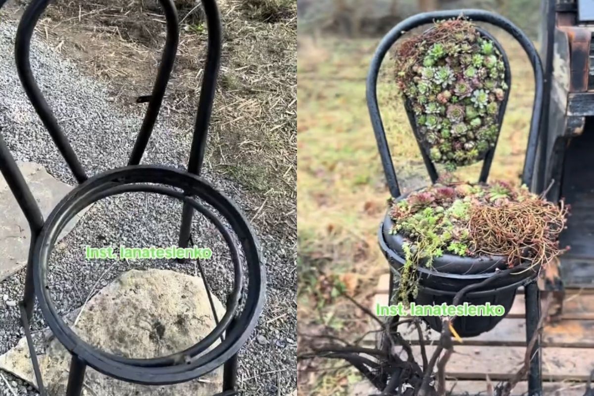 Жінка зробила клумбу зі стільця Жінка зробила клумбу зі стільця