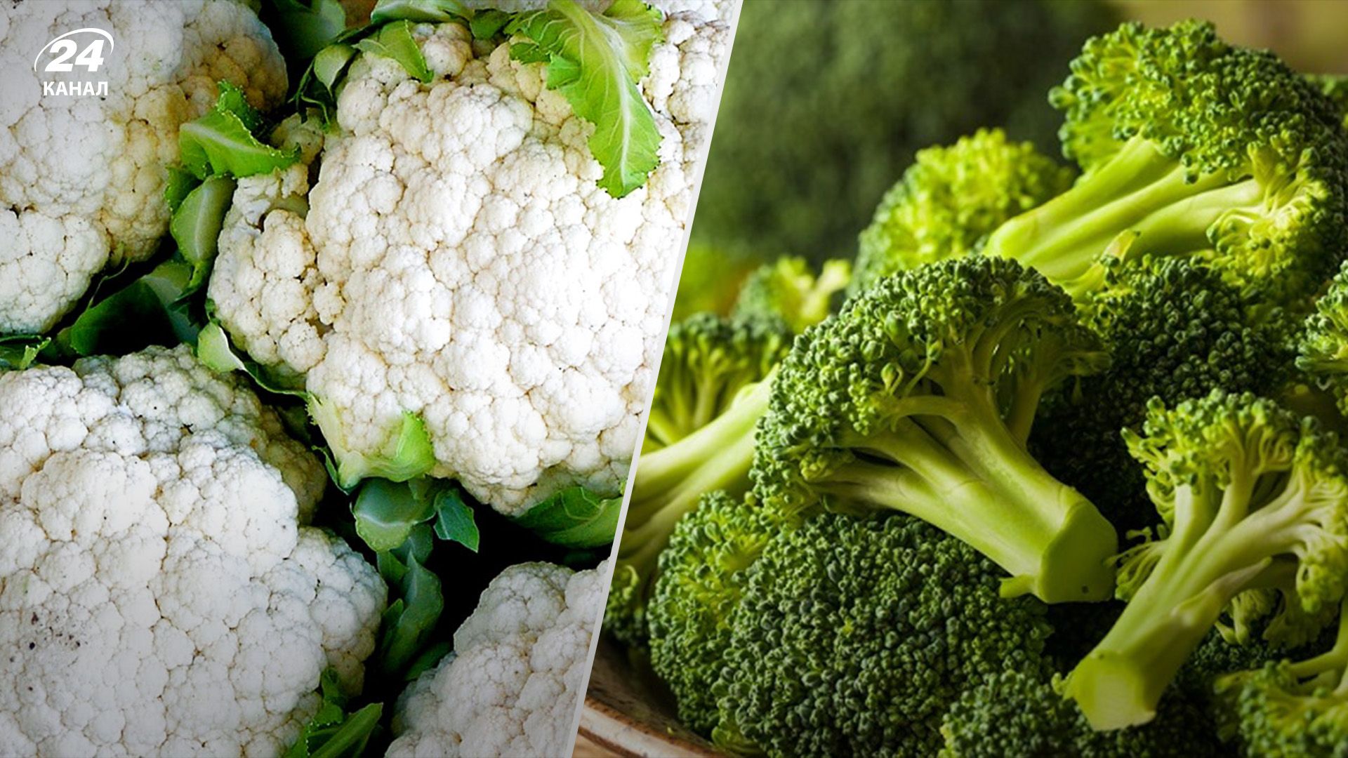 На непопулярні види капусти зріс попит На непопулярні види капусти зріс попит