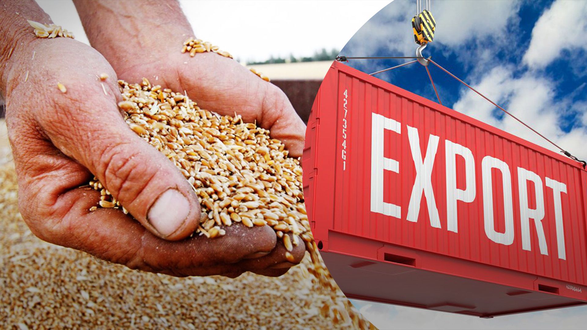 Експорт зерна через кордон з Польщею зріс Експорт зерна через кордон з Польщею зріс