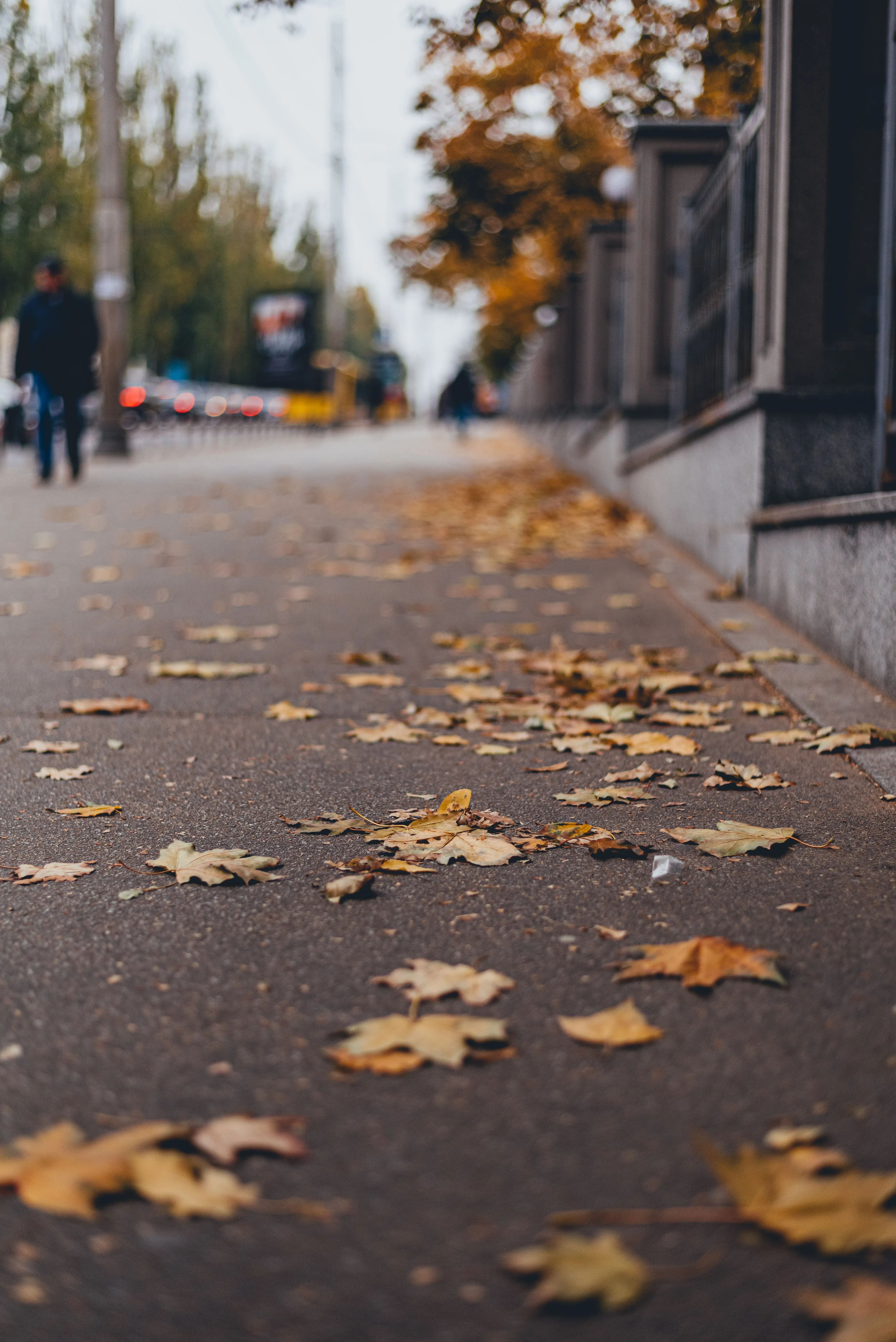 Листопад в Україні Листопад в Україні