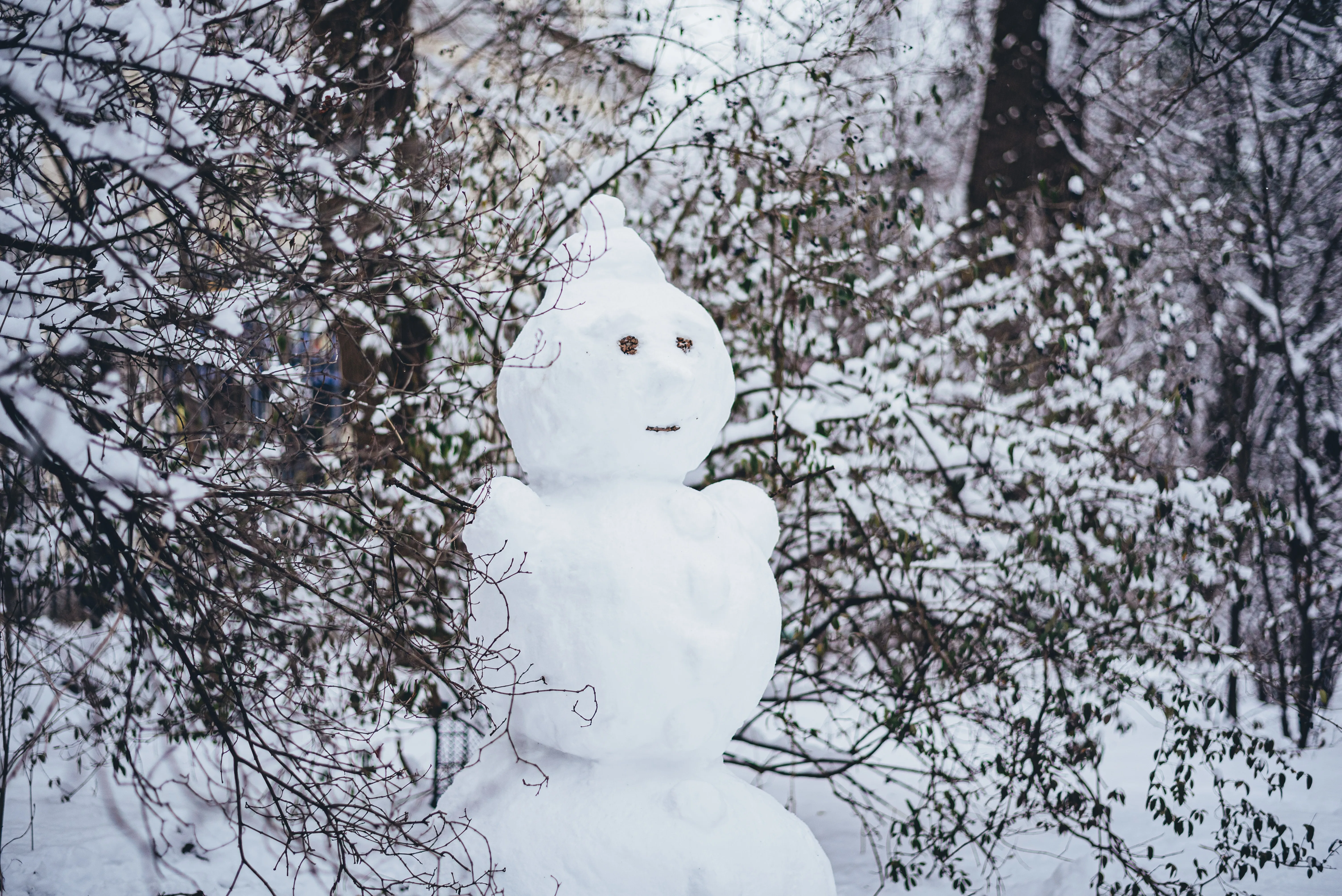 Сніг в Україні Сніг в Україні