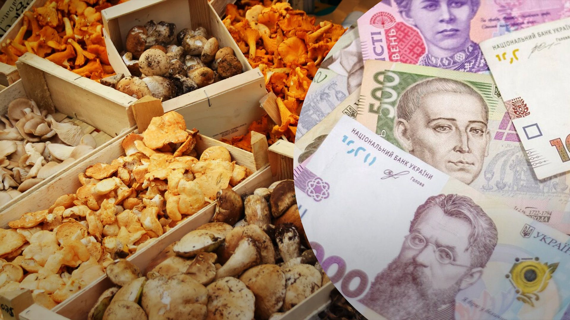 Скільки коштують гриби в Україні Скільки коштують гриби в Україні