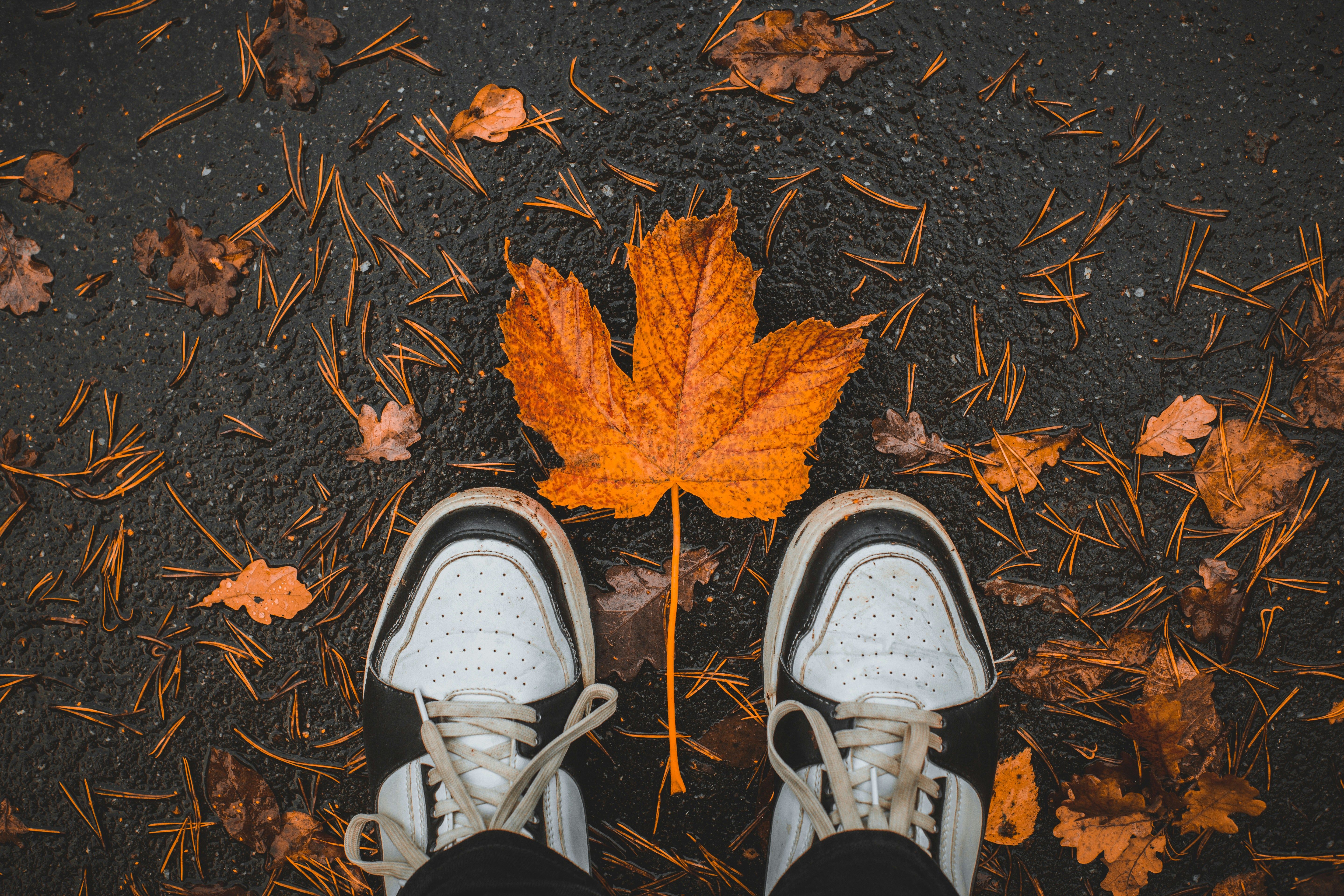 Погода в Украине 26 октября Погода в Украине 26 октября