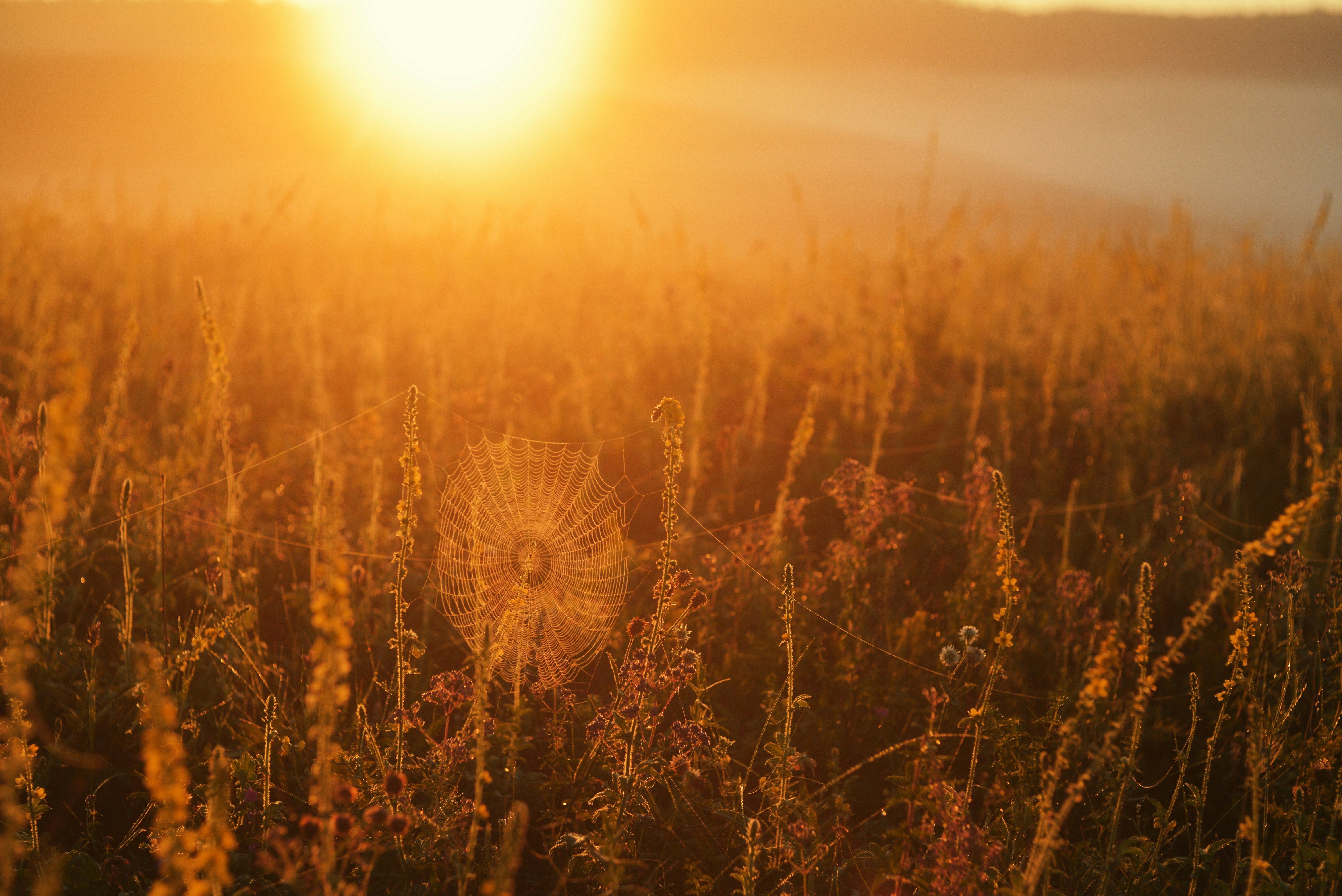 Будет ли бабье лето Будет ли бабье лето