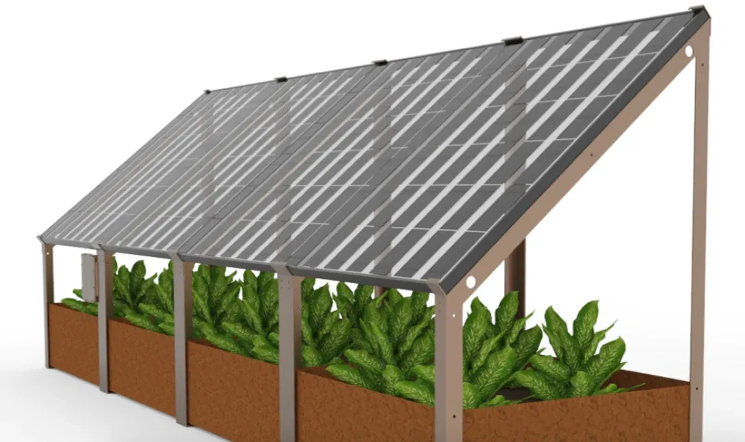 Delta Flore Delta Flore