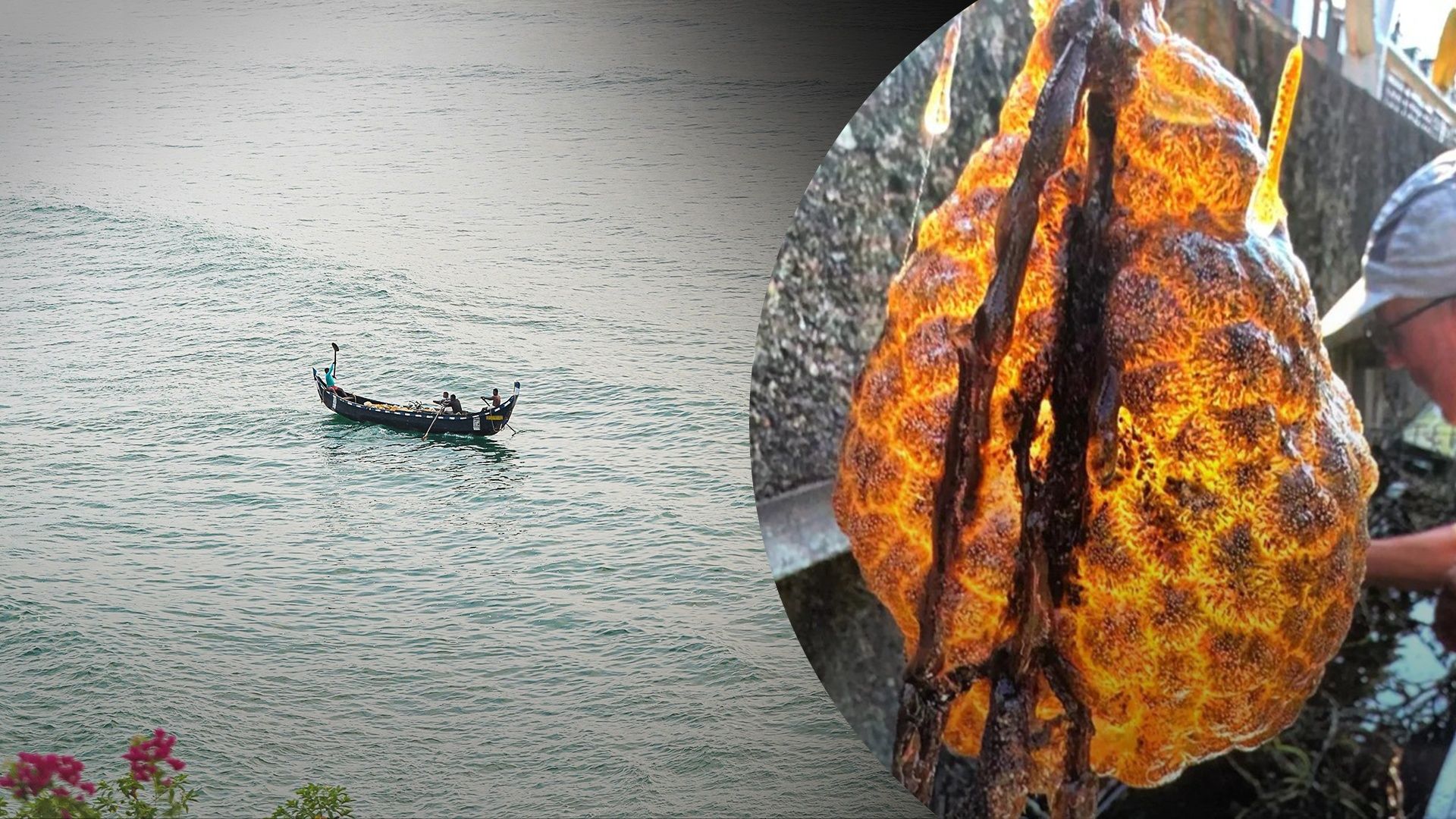 Рыбаки вытащили из моря удивительное существо под плавучим островом Рыбаки вытащили из моря удивительное существо под плавучим островом