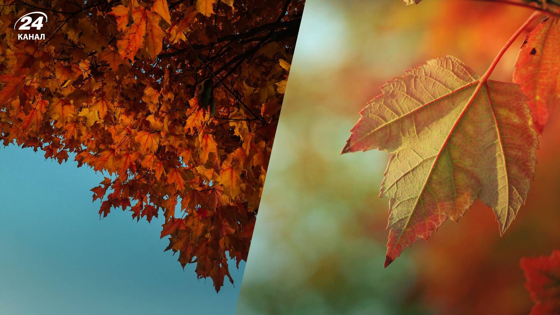 Прогноз погоды на 28 октября - 24 Канал Прогноз погоды на 28 октября - 24 Канал