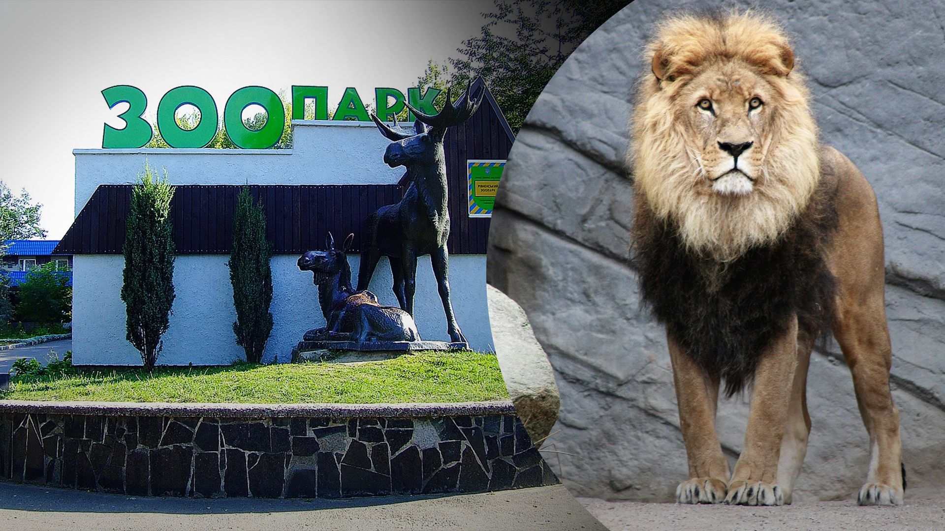 Леву, тіло якого знайшли на звалищі, було 20 років Леву, тіло якого знайшли на звалищі, було 20 років