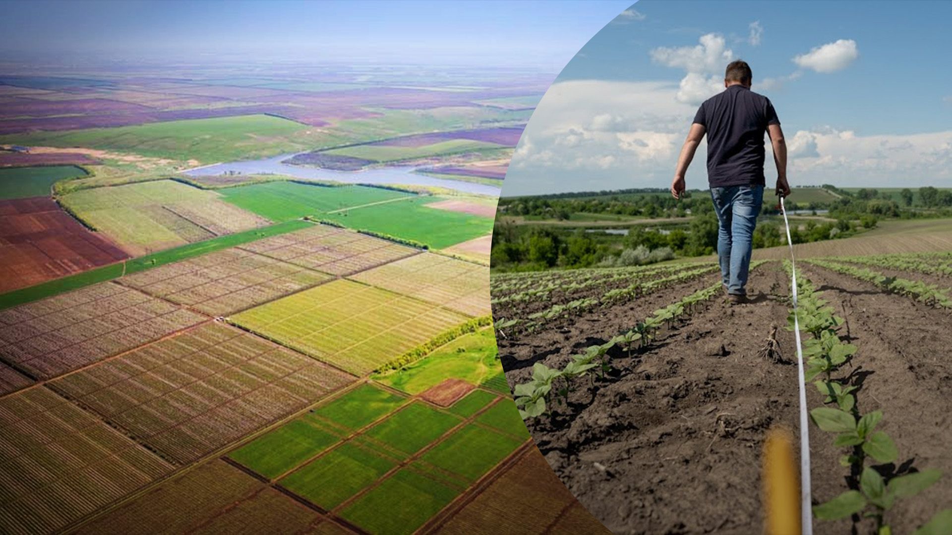Сколько гектар земли в пае Сколько гектар земли в пае