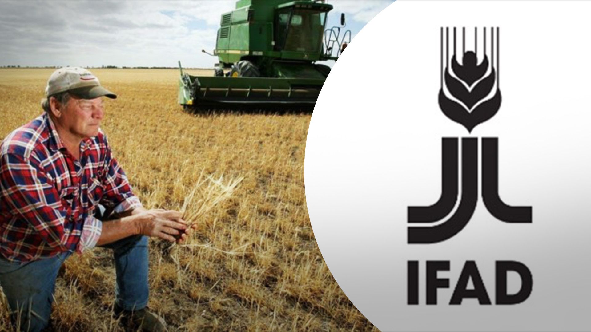 Що зміниться для фермерів після вступу в IFAD