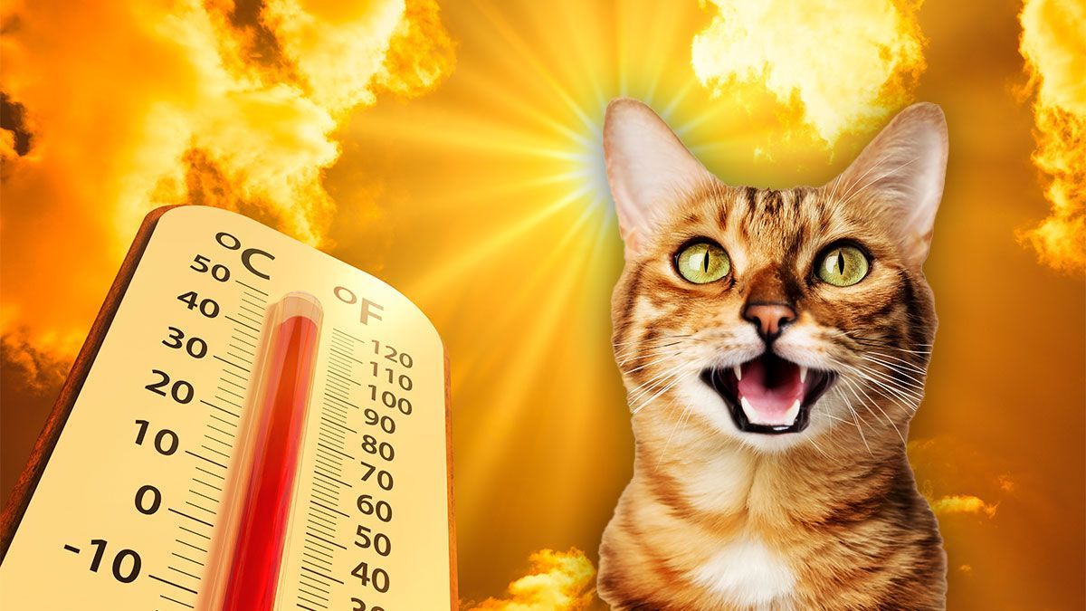 Погода на лето в Украине Погода на лето в Украине