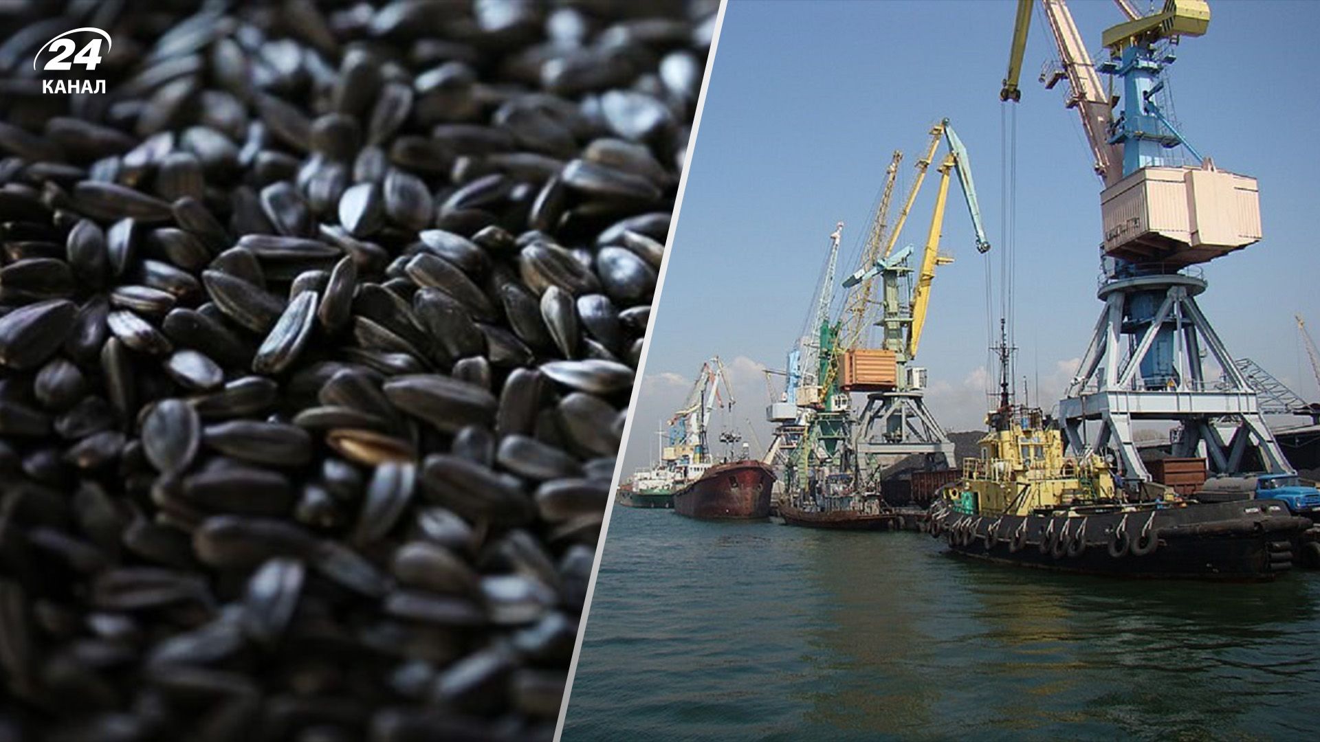 Россияне вывозят 300 тонн подсолнечника из Украины Россияне вывозят 300 тонн подсолнечника из Украины