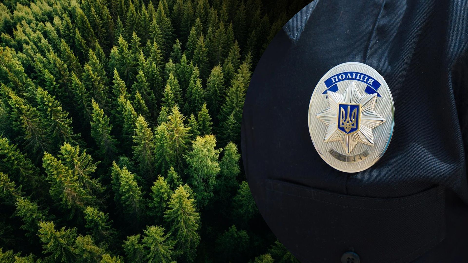 На Дніпропетровщині знайшли мертвою раніше зниклу дівчину На Дніпропетровщині знайшли мертвою раніше зниклу дівчину