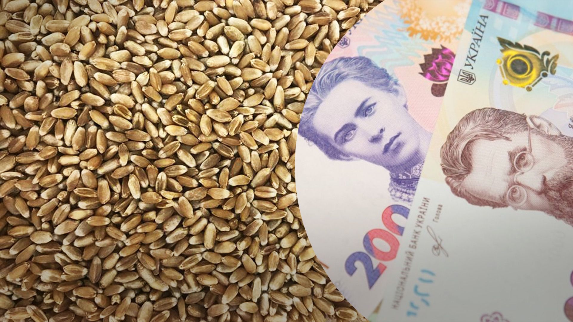 Какие сейчас цены на пшеницу Какие сейчас цены на пшеницу