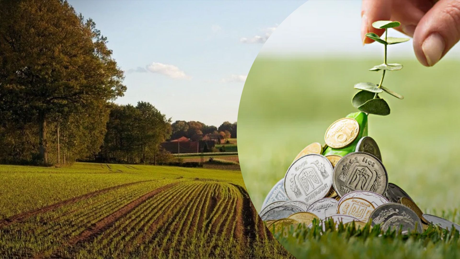 Кто должен платить налог на землю Кто должен платить налог на землю