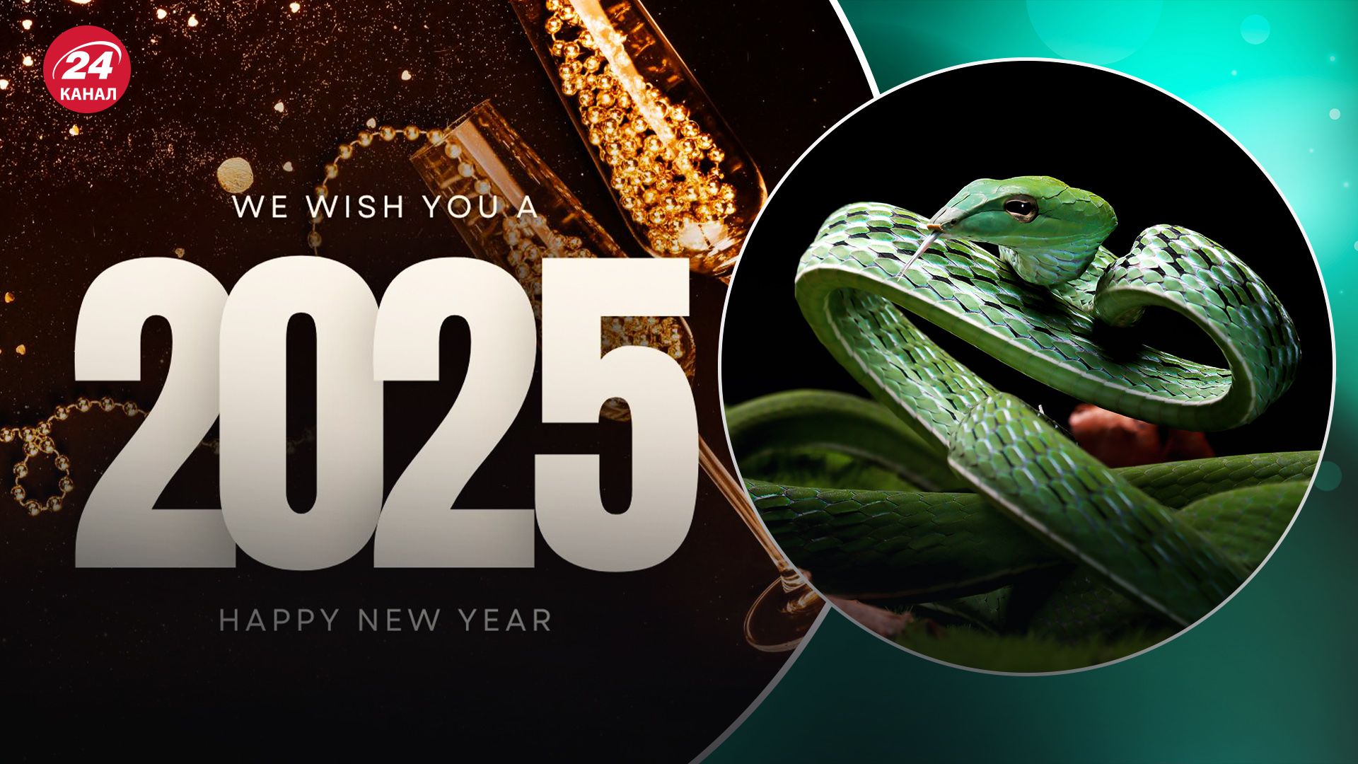 Новый 2025 год: какой цвет станет его символом и принесет удачу - lifestyle 24 Новый 2025 год: какой цвет станет его символом и принесет удачу - lifestyle 24