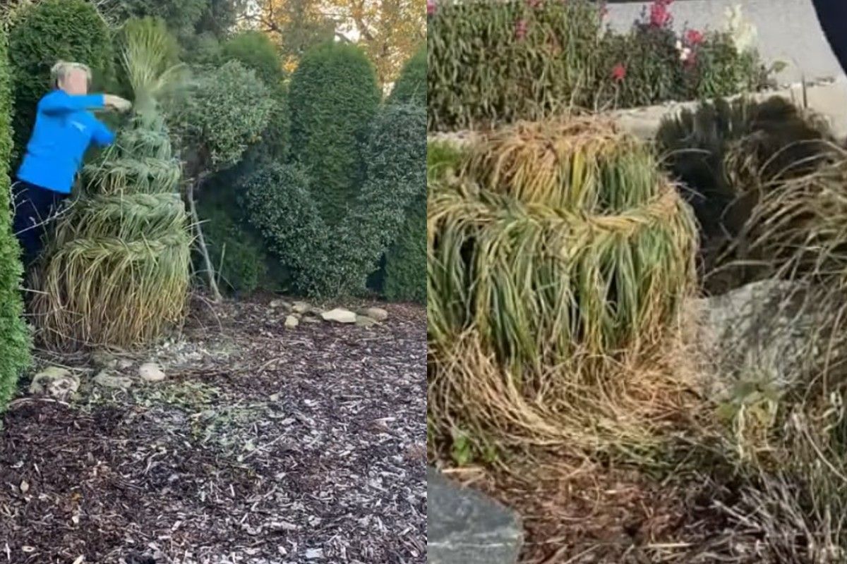 Траву на зиму можно заплести Траву на зиму можно заплести