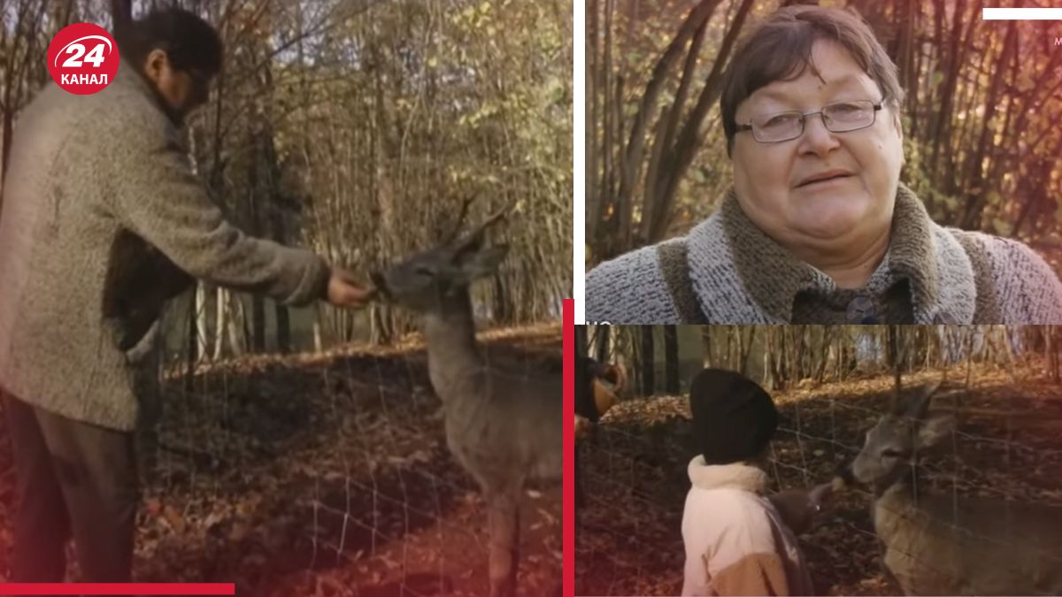 Женщина спасла косулю на Харьковщине Женщина спасла косулю на Харьковщине