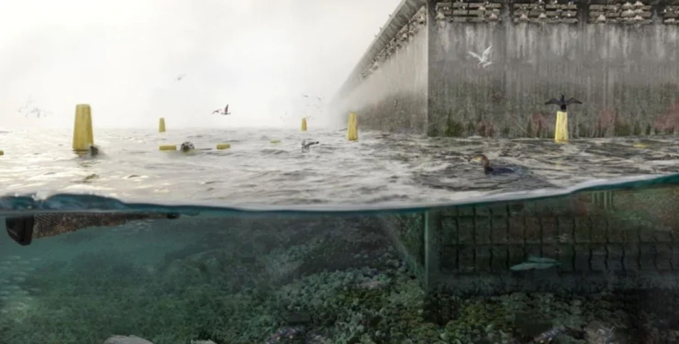 Бельгия спроектировала энергетический остров Бельгия спроектировала энергетический остров