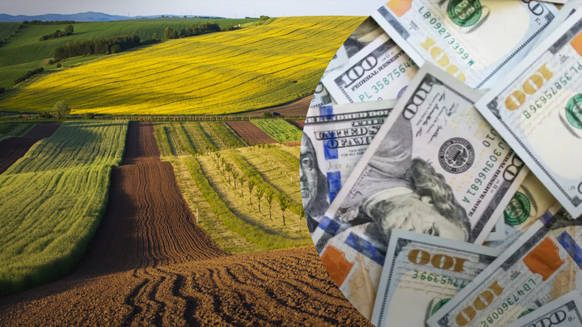 Що буде з цінами на землю у 2025 році Що буде з цінами на землю у 2025 році