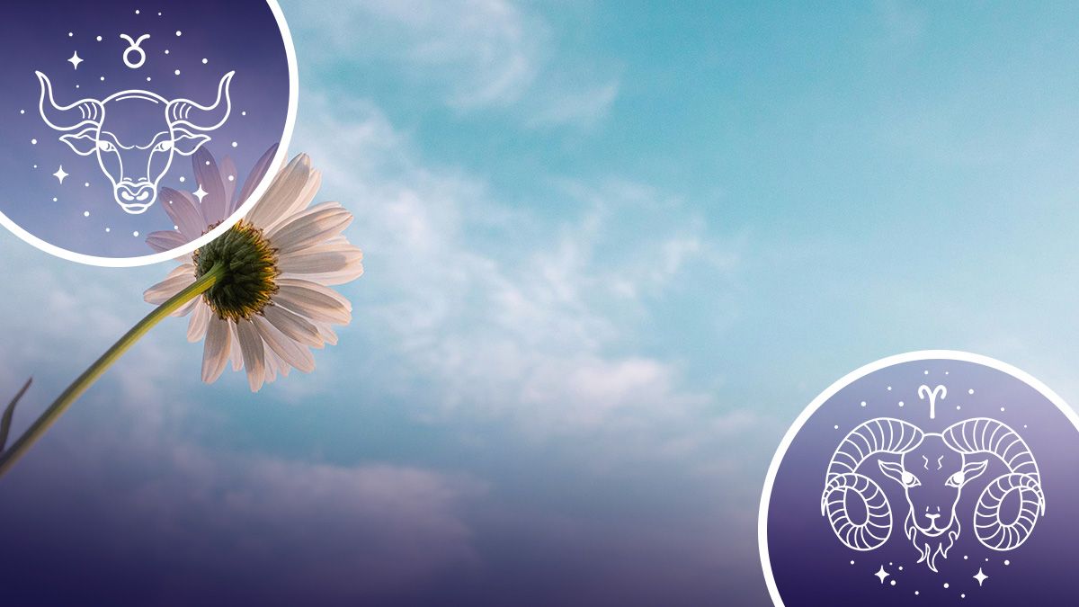 У кого осуществится мечта - гороскоп У кого осуществится мечта - гороскоп