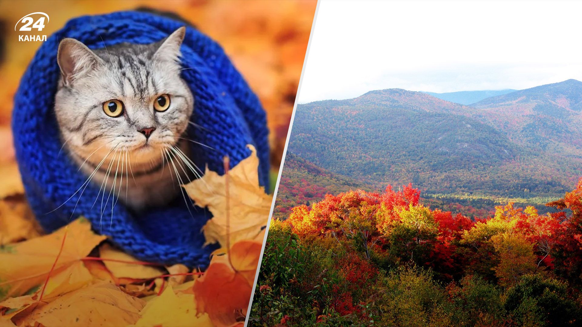 Прогноз погоды на 31 октября Прогноз погоды на 31 октября