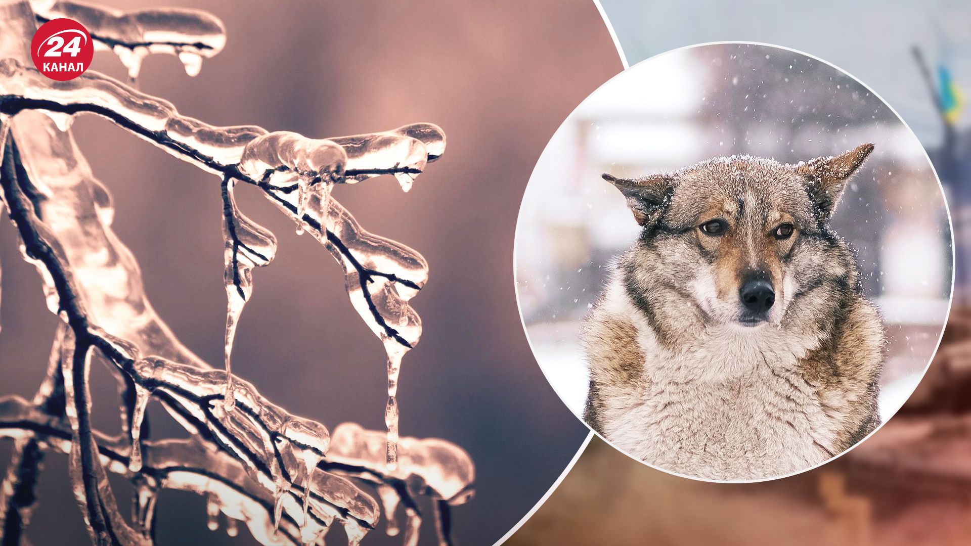 Різке похолодання - днями в Україні будуть морози та мокрий сніг - 24 Канал Різке похолодання - днями в Україні будуть морози та мокрий сніг - 24 Канал
