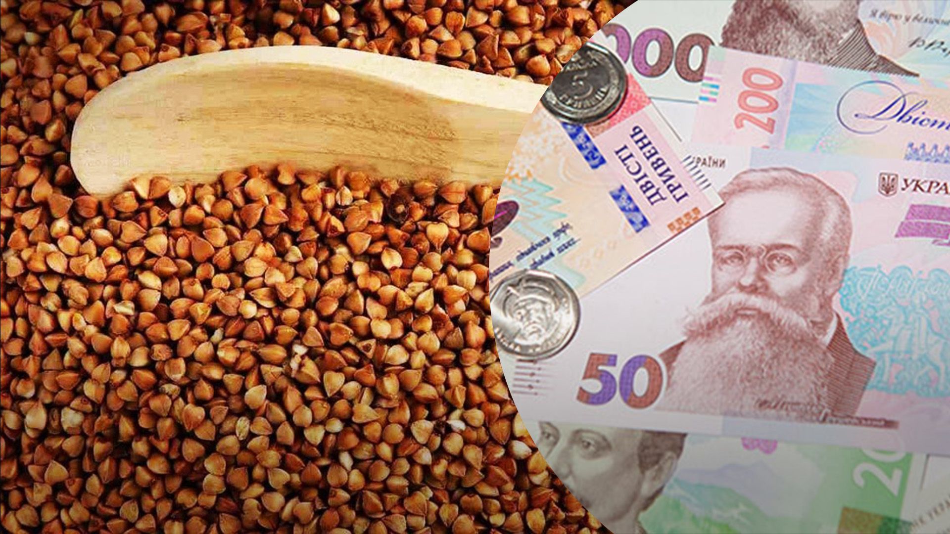 Які ціни на гречку у магазинах Які ціни на гречку у магазинах