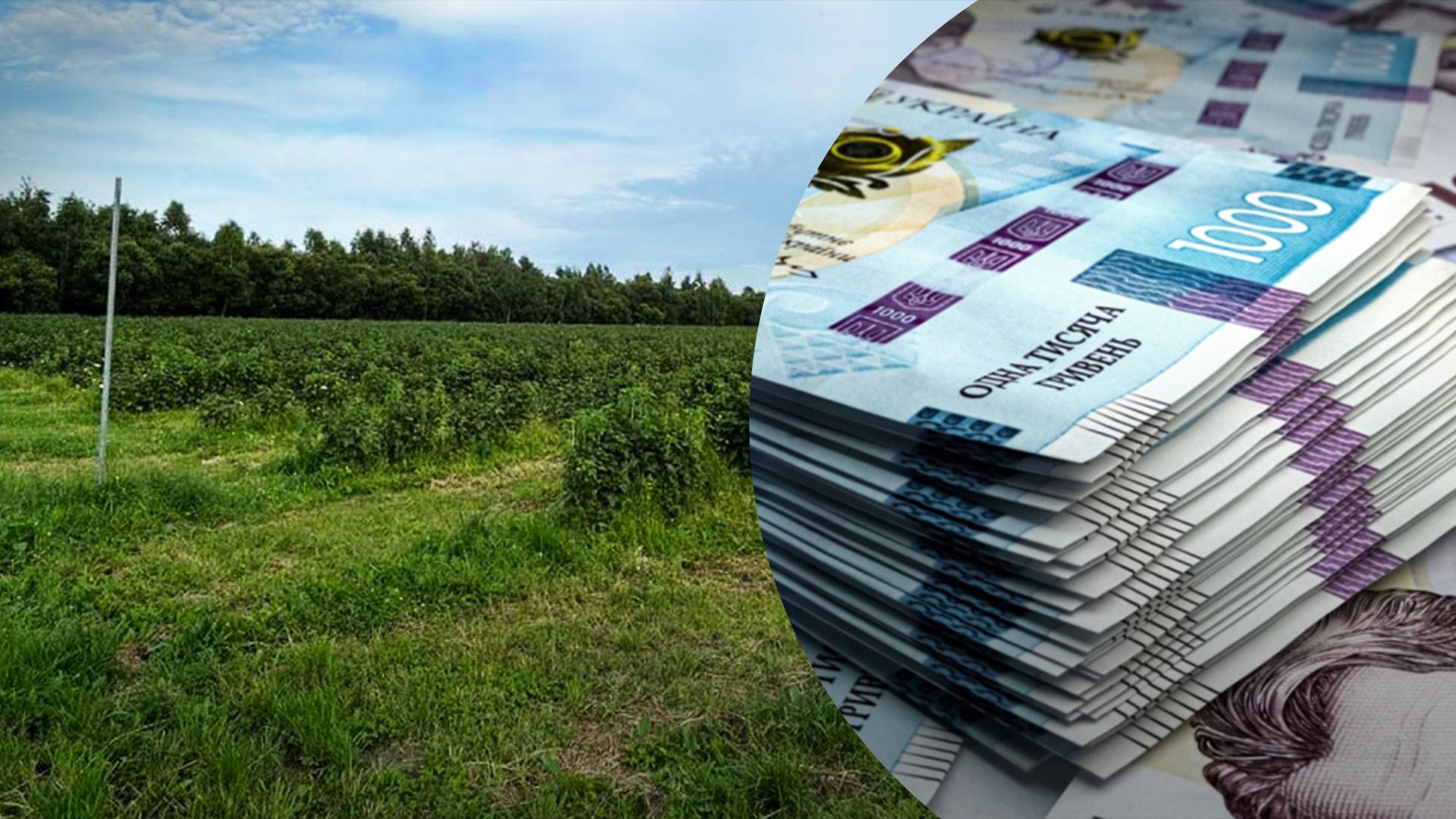 Де в Україні найдорожча земля Де в Україні найдорожча земля