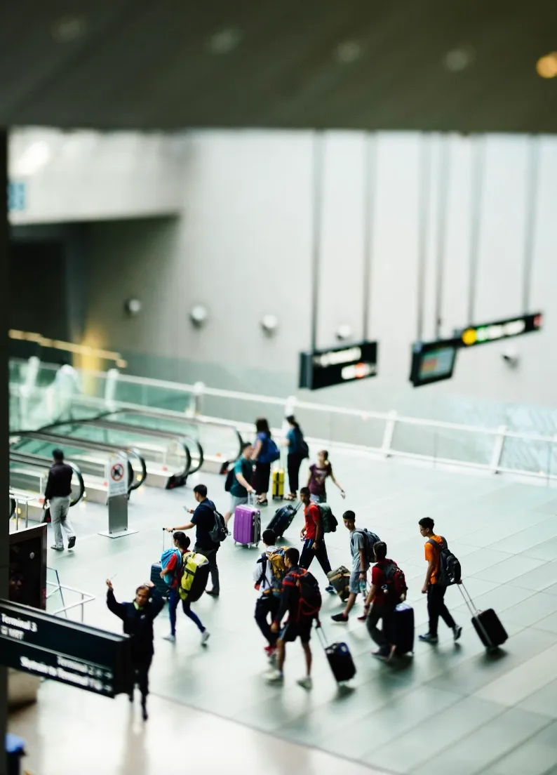 Яка дата є найспокійніша для польотів в різдвяний період Яка дата є найспокійніша для польотів в різдвяний період