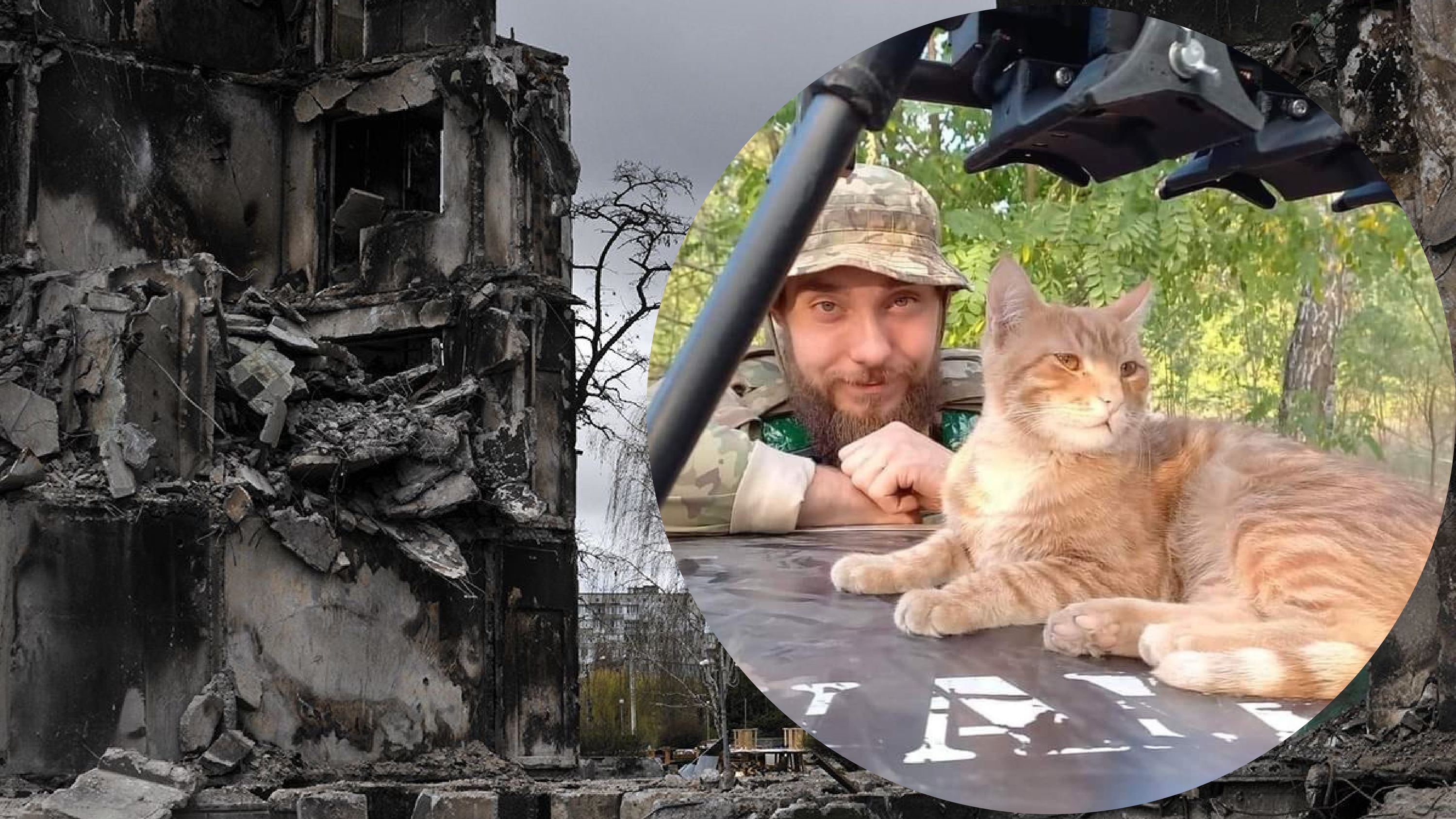 На фронте погиб Воробей На фронте погиб Воробей