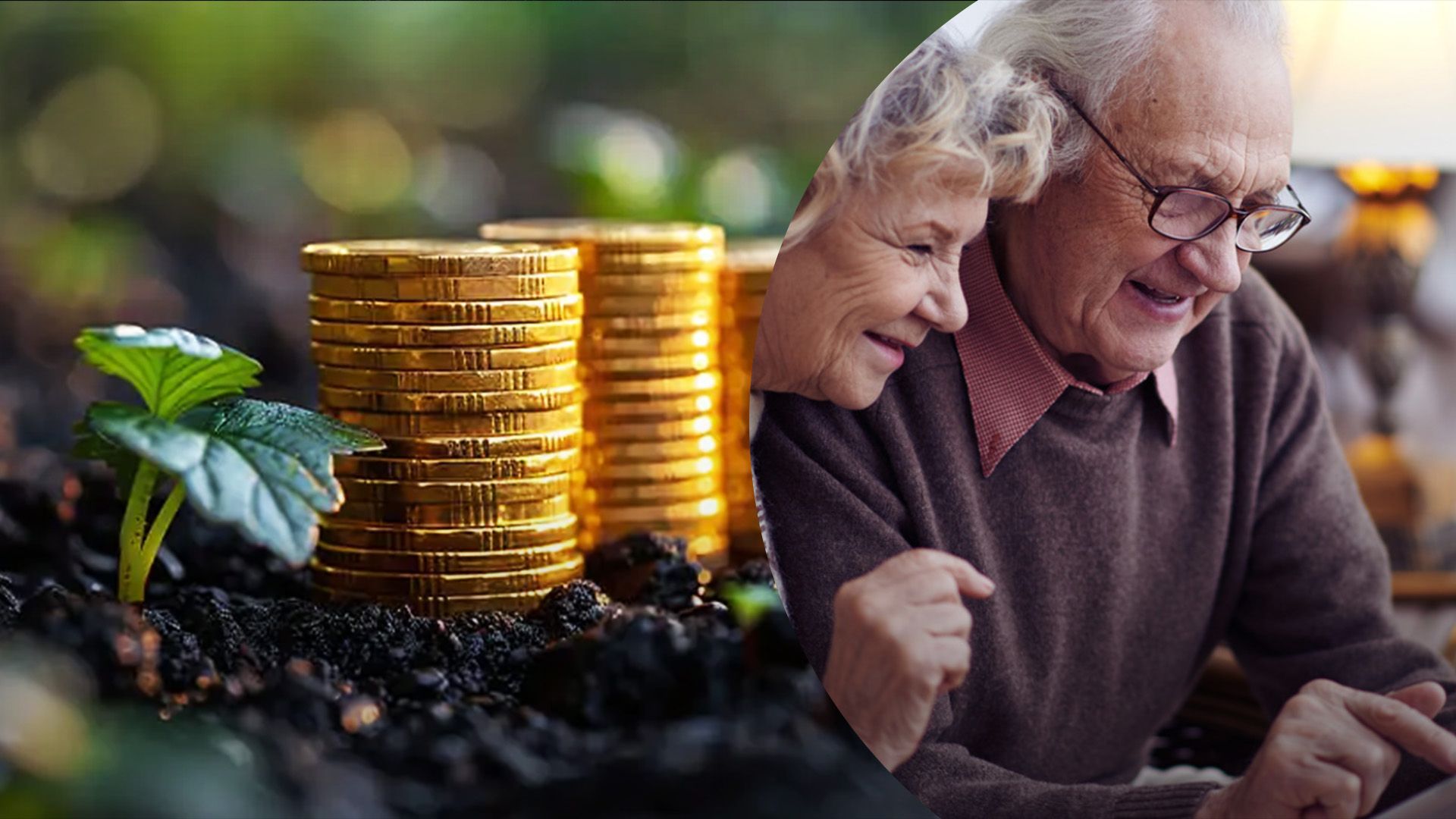 Должны ли платить земельный налог пенсионеры Должны ли платить земельный налог пенсионеры