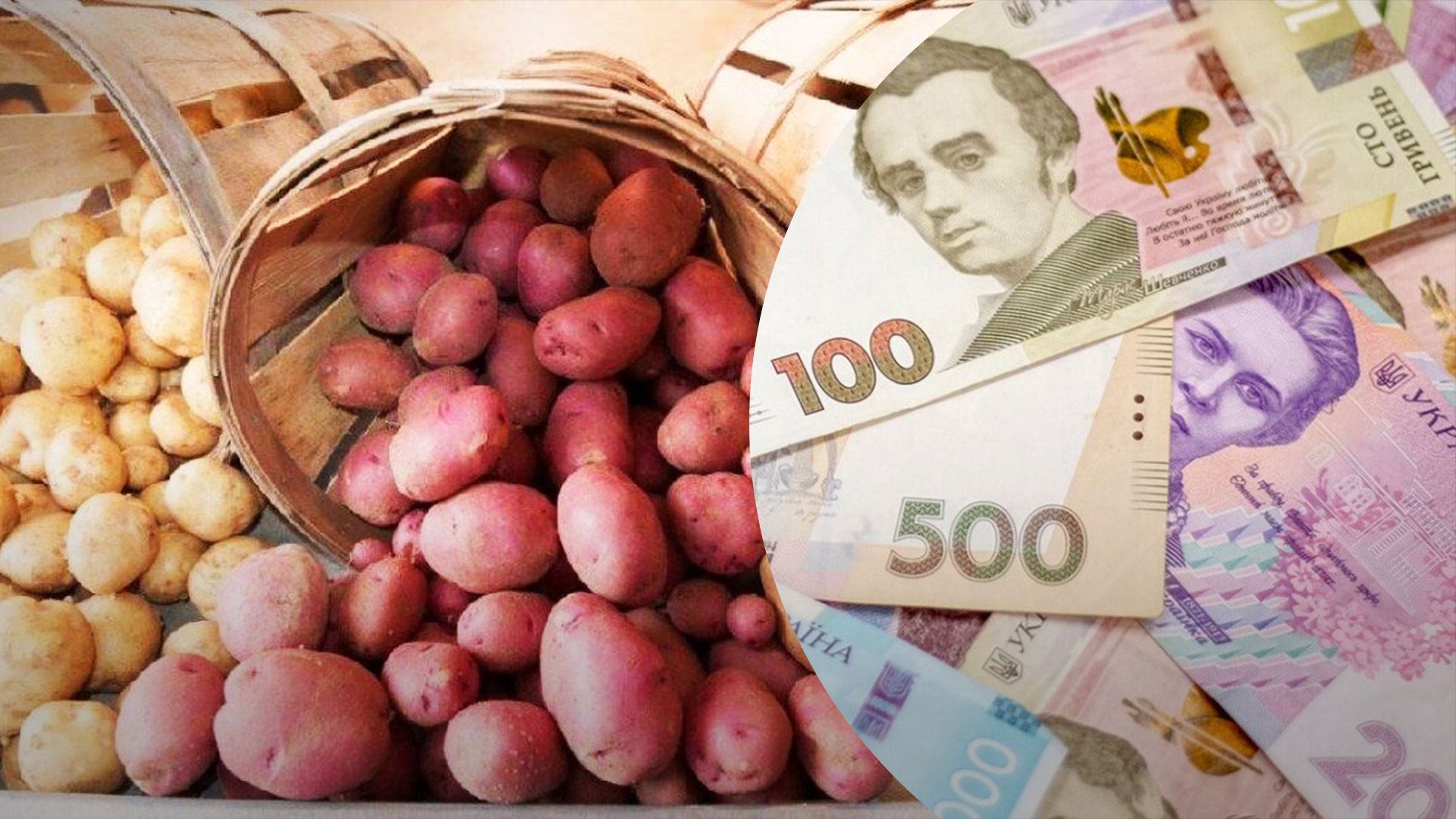 Що буде з цінами на картоплю у магазинах Що буде з цінами на картоплю у магазинах