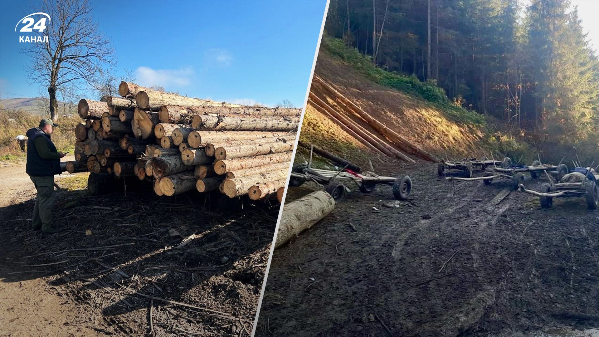 На Закарпатті затримали "чорних лісорубів" На Закарпатті затримали "чорних лісорубів"