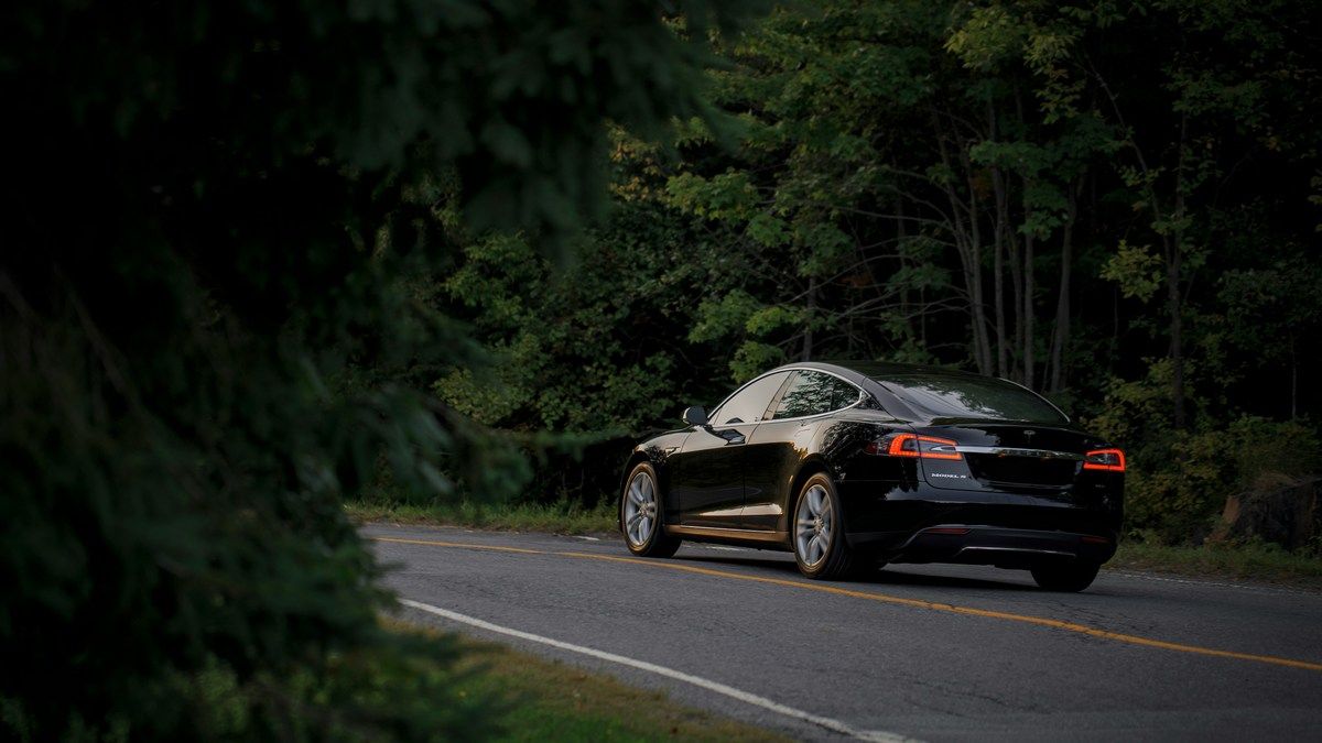 Автопилот Tesla снова привел к аварии, на этот раз сбив животное Автопилот Tesla снова привел к аварии, на этот раз сбив животное