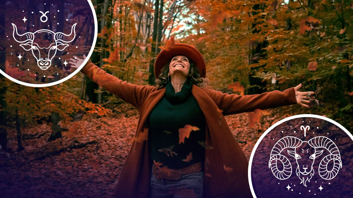 Для кого ноябрь станет счастливым - гороскоп Для кого ноябрь станет счастливым - гороскоп