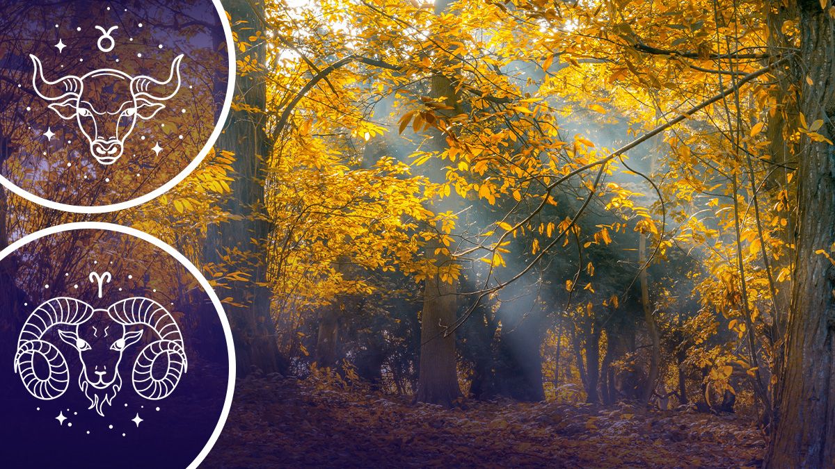 У кого начнется новая жизнь - гороскоп У кого начнется новая жизнь - гороскоп