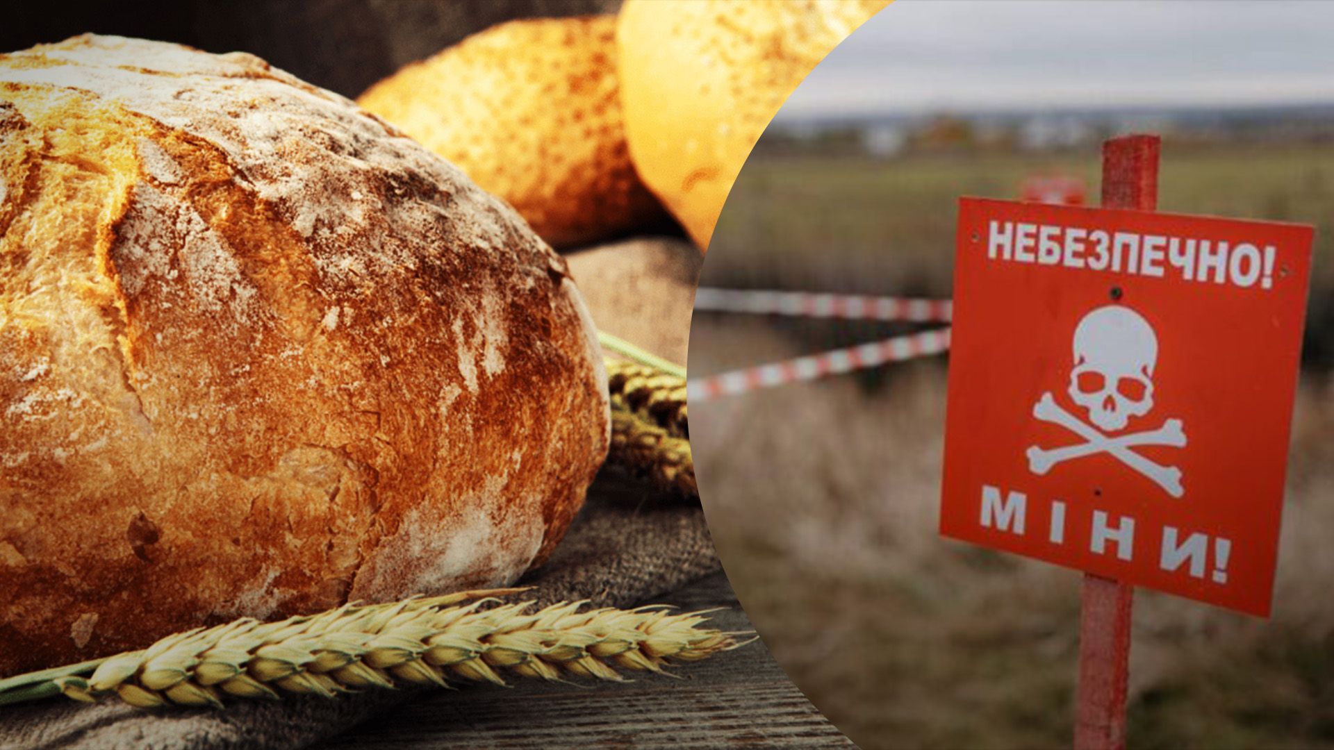 Найдорожчий хліб у світі спекли в Україні Найдорожчий хліб у світі спекли в Україні