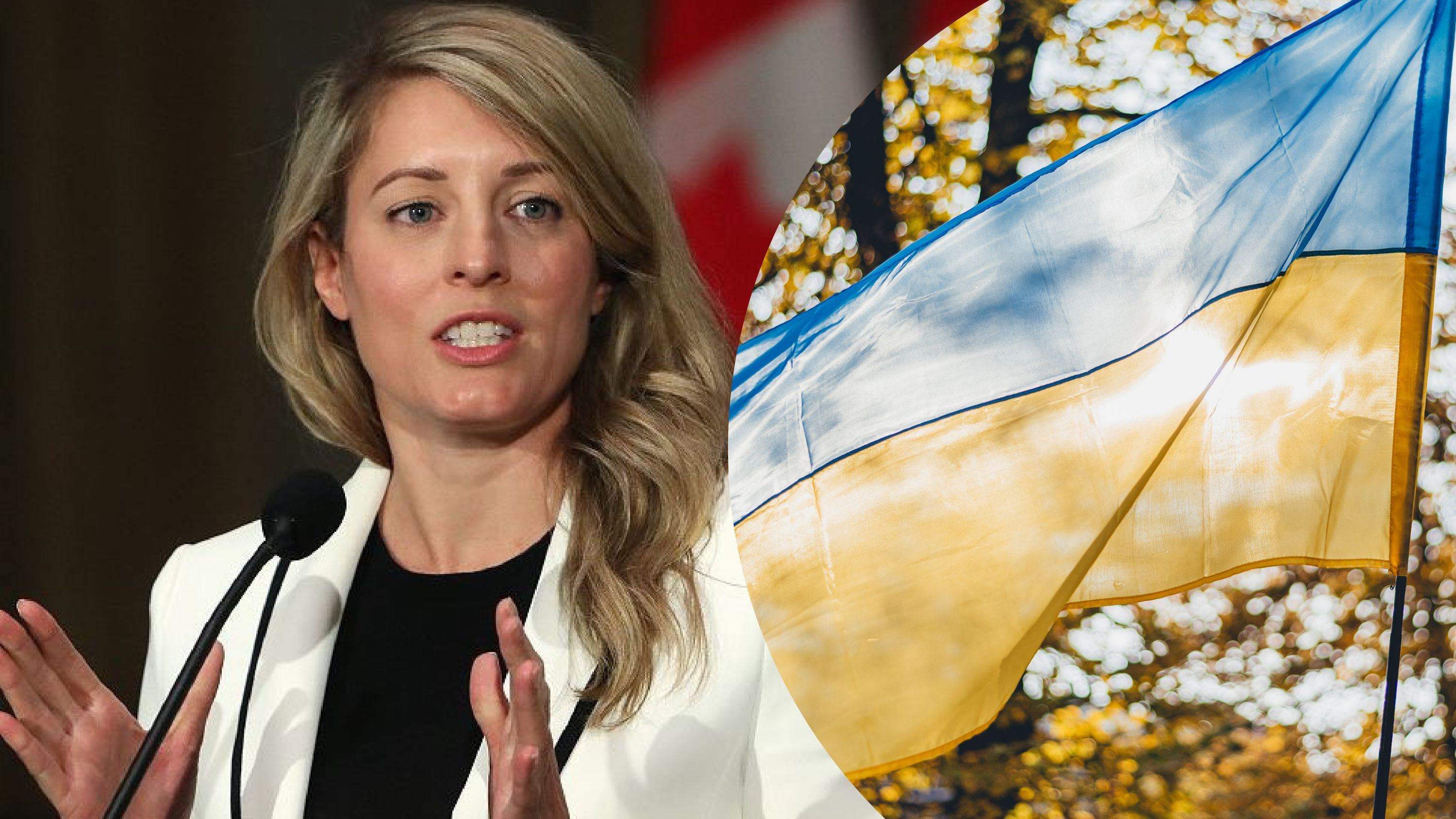 Канада призывает мир предоставить дальнобойное оружие Украине Канада призывает мир предоставить дальнобойное оружие Украине