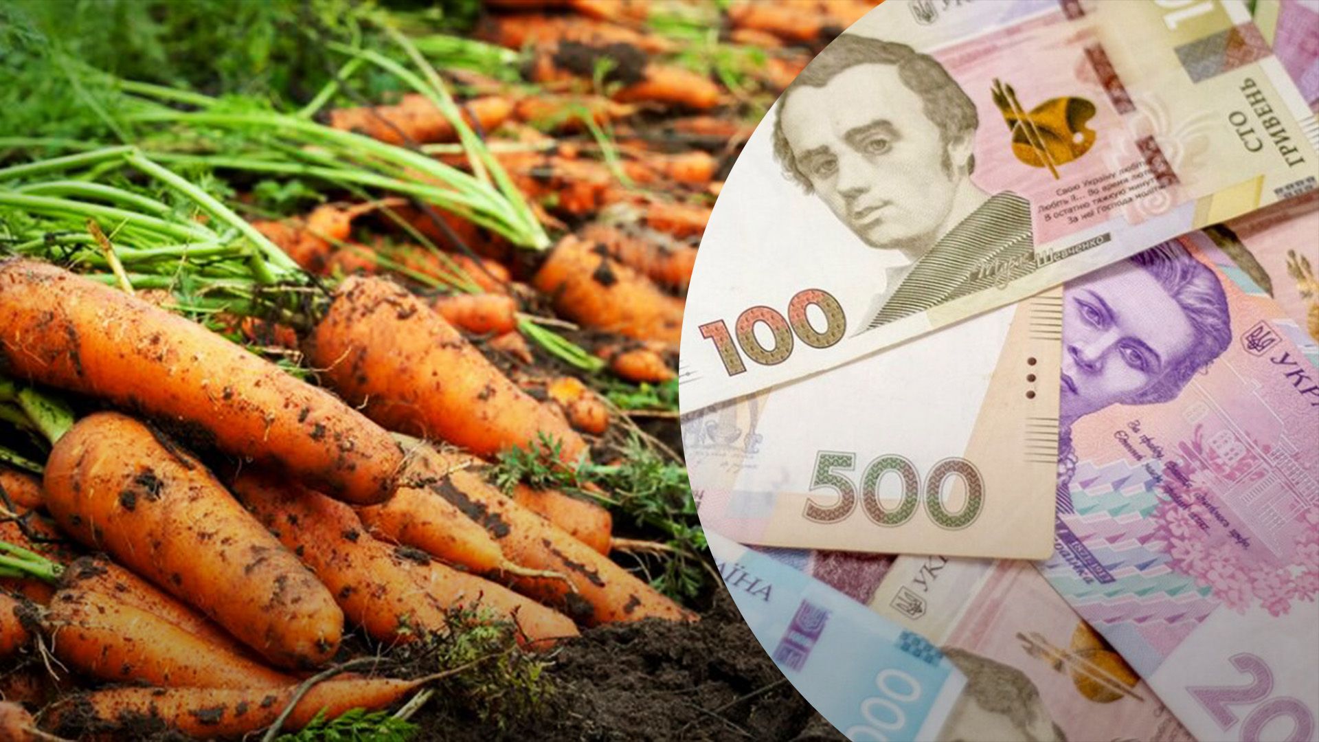 Морковь стремительно дорожает Морковь стремительно дорожает