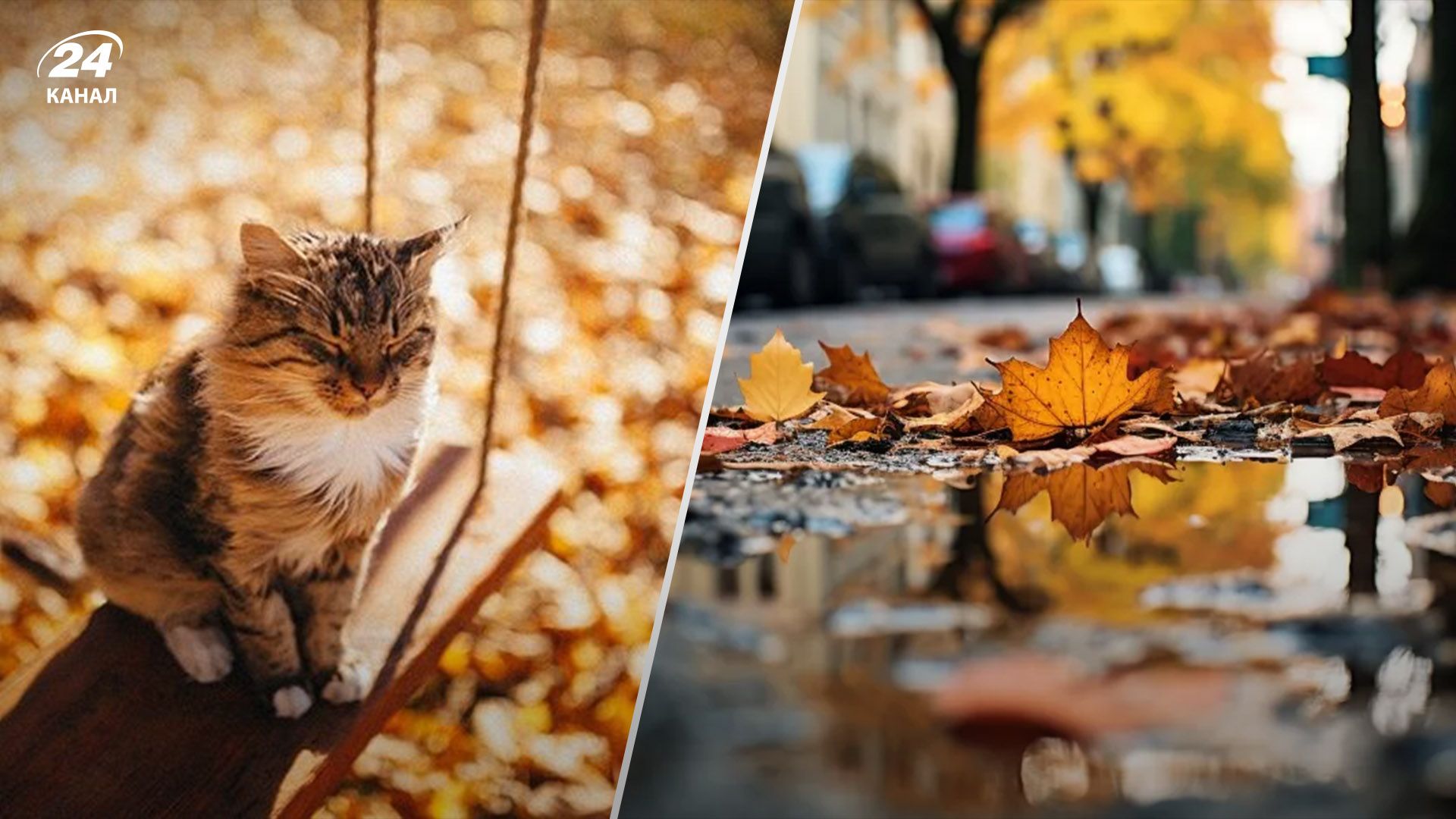 До +19 та з невеликими дощами: прогноз погоди на 2 листопада - 24 Канал До +19 та з невеликими дощами: прогноз погоди на 2 листопада - 24 Канал