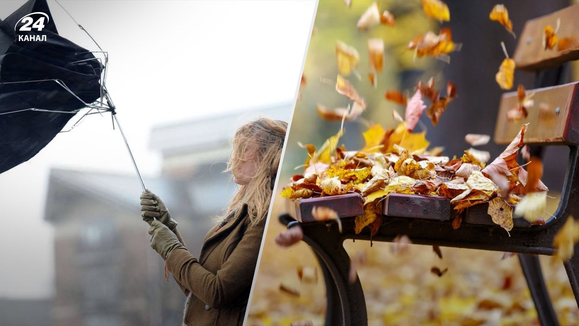 Синоптики прогнозують сильний вітер у Києві та області - 24 Канал Синоптики прогнозують сильний вітер у Києві та області - 24 Канал